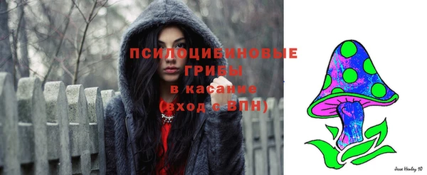 прущая мука Каменногорск