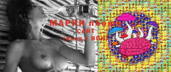 мет Каменка